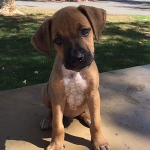 Meet your Posher, Carlos